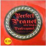 Erga Müzik Perfect Pranet Uzun Sap Saz Bağlama Teli 0.20