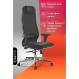 Ergolife Synchrosit 10 Ergonomik Ofis Sandalyesi | Bel Destekli, Yükseklik Ayarlı, Çalışma Sandalyesi -1D1.D.1.333 - Siyah