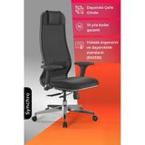 Ergolife Synchrosit 10 Ergonomik Ofis Sandalyesi | Bel Destekli, Yükseklik Ayarlı, Çalışma Sandalyesi -1D1.d.1.333