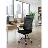 Ergonomik Fileli Yönetici Koltuğu, Makam Koltuğu, Çalışma Koltuğu, Ofis Koltuğu, Metal Ayaklı