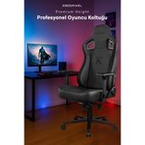 Ergopixel Knight Premium Oyuncu Koltuğu, 4D Kolçak, Frog Mekanizma, Siyah