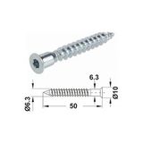Ergün Store Kabin Vidası Allen , Alyan Sivri Uç 6.3X50 Galvanizli ( 25 Adet )
