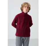 Erguvan Kalın Yumuşak Dokulu Standart Fit Nakışlı Polar Erkek Çocuk Sweatshirt - 11223