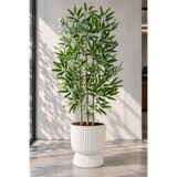 ERHAN FLOWERS 150 CM 3 Dallı Bambu Ağacı Lotus Saksıda