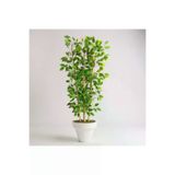 ERHAN FLOWERS bambu.ben.140.1 Yapay Benjamin Ağacı 140Cm Bambu 3 Gövdeli