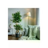 ERHAN FLOWERS bnjisyh.gmş Yapay Çiçek Siyah Gümüş Benjamin Salon Balkon Ev Ağacı Yeşil Bitkisi Bambu Gövdeli Dolgun