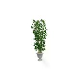 ERHAN FLOWERS ÇİÇEK & DEKORASYON 150 Cm Benjamin Yapay Ağaç Bambu 5 Gövdeli Nergiz Saksı ypy.agç.00310