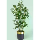 ERHAN FLOWERS ÇİÇEK & DEKORASYON 150 Cm Islak Doku Bambu Ağaç Siyah Gold Saksıda erh.10012