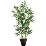ERHAN FLOWERS ÇİÇEK & DEKORASYON 150 Cm Islak Doku Bambu Ağaç Siyah Plastik Saksıda erh.10016.