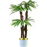 ERHAN FLOWERS ÇİÇEK & DEKORASYON 160 Cm 3 Gövdeli Yapay Palmıye Yuka Agacı Beyaz Gold Saksı ypy.agç.00394