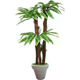 ERHAN FLOWERS ÇİÇEK & DEKORASYON 160 Cm 3 Gövdeli Yapay Palmıye Yuka Agacı Beyaz Plastik Saksı ypy.agç.00386