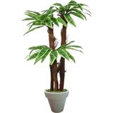 ERHAN FLOWERS ÇİÇEK & DEKORASYON 160 Cm 3 Gövdeli Yapay Palmıye Yuka Agacı Beyaz Plastik Saksı