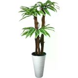 ERHAN FLOWERS ÇİÇEK & DEKORASYON 160 Cm 3 Gövdeli Yapay Palmıye Yuka Agacı Kumsal Saksı ypy.agç.00391