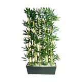 ERHAN FLOWERS ÇİÇEK & DEKORASYON 50 Cm Plastik Saksıda Dış Mekan Için Seperatör 10 Adet 150 Cm Bambu erh.2067