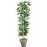 ERHAN FLOWERS ÇİÇEK & DEKORASYON Dekoratif Yapay Yapraklı 3 Gövde Bambu Ağacı 100 Cm Bambu Beyaz Plastık Saksı