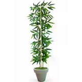 ERHAN FLOWERS ÇİÇEK & DEKORASYON Dekoratif Yapay Yapraklı 3 Gövde Bambu Ağacı 110 Cm Bambu Beyaz Plastık Saksı ypy.agç.00185