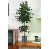 ERHAN FLOWERS ÇİÇEK & DEKORASYON Yapay Benjamin Ağacı Bambu Gövdeli Yeşil (Şik Metal Siyah Saksili) 140 Cm TYBbnj.bmb.155150413076