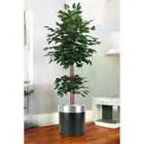 ERHAN FLOWERS ÇİÇEK & DEKORASYON Yapay Benjamin Ağacı Bambu Gövdeli Yeşil (Şik Metal Siyah Saksili) 150 Cm TYBbnj.bmb.155150413088