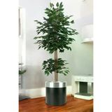 ERHAN FLOWERS ÇİÇEK & DEKORASYON Yapay Benjamin Ağacı Bambu Gövdeli Yeşil (Şik Metal Siyah Saksili) 170 Cm TYBbnj.bmb.155150413118