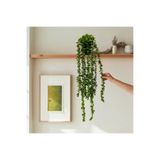 ERHAN FLOWERS Elite Yapay Çiçek mini Saksıda 80 Cm Yoğun Yapraklı Koyu Yeşil Okaliptus Sarkıt