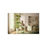 ERHAN FLOWERS erh.1673 Yapay Palmiye Ağacı Bambu 4 Gövdeli 36 Yaprak 145 Cm Kumsal Plastik Saksılı