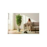 ERHAN FLOWERS erh.1737 Yapay Bambu Ağaç 200 Cm 6 Dallı Yogun Yaprak Beyaz Plastik Saksı