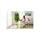 ERHAN FLOWERS erh.2002 Yapay Bambu Ağaç 150 Cm 6 Dallı Yogun Yaprak Vega Beyaz Saksı