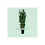 ERHAN FLOWERS erh.2005 150 Cm Yapay Bambu Agacı Yogun Yaprak Islak Doku