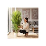 Erhan Flowers Lüx Yapay Areka Bambu Ağacı Çift Renk 140 cm 40 Yaprak