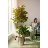 ERHAN FLOWERS mtl-130-180 Yapay Çiçek Metal Saksıda Benjamin Salon Balkon Ev Ağacı Yeşil Bitkisi Bambu Gövdeli 170-130 Cm