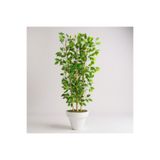 ERHAN FLOWERS Yapay Benjamin Ağacı 140CM Bambu 3 Gövdeli