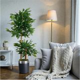 Erhan Flowers Yapay Çiçek Siyah Gümüş Benjamin Salon Balkon Ev Ağacı Yeşil Bitkisi Bambu Gövdeli Dolgun