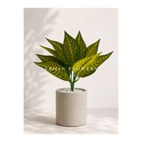 ERHAN FLOWERS YAPAY ÇİZGİLİ CROTON CALATHEA 48 CM - DEKORATİF VAZO İÇİ ISLAK DOKULU YAPRAK DALI (SAKSISIZ)