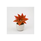 ERHAN FLOWERS YAPAY KIRMIZI CROTON CALATHEA 48 CM - DEKORATİF VAZO İÇİ ISLAK DOKULU YAPRAK DALI (SAKSISIZ)