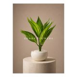 ERHAN FLOWERS YAPAY YEŞİL CROTON CALATHEA 48 CM - DEKORATİF VAZO İÇİ YAPRAK DALI (SAKSISIZ)
