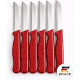 ERHCE Alman Solingen 6'lı Kırmızı Bıçak Paslanmaz Çelik Tırtıklı Keskin Meyve Sebze Bıçağı 6'lı Set