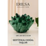 Erilsa Sertifikalı Yeşil Florit Dikenli Küme Taşı – Zihin Açan Şifa Kristali ve Dekoratif Enerji Kümesi