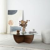 Eriza Home Eriza Urban, Yeni Nesil Modern Cam Orta Sehpa, Ceviz