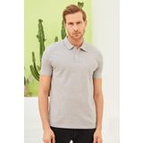 Erkek Basic Polo Yaka Tişört (Regular Fit) Gri