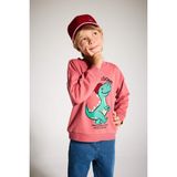 Erkek Bebek Bisiklet Yaka Dinozor Baskılı İçi Yumuşak Tüylü Sweatshirt