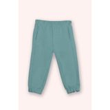 Erkek Bebek Cepli Mint Eşofman Altı 12-18 Ay (80-86 cm)