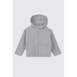 Erkek Bebek Fermuarlı Gri Sweatshirt 3 Yaş (98 cm)