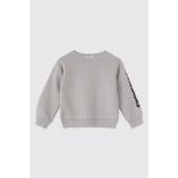 Erkek Bebek Gri Sweatshirt 5 Yaş (110 cm)