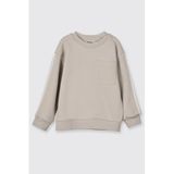 Erkek Bebek Kol Üstü Şerit Detaylı Taş Sweatshirt 3 Yaş (98 cm)