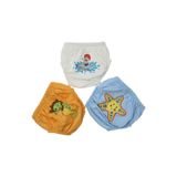 Erkek Bebek Mavi Desenli Alıştırma Külot 3lü, Renkli, 2-4 Yaş