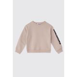 Erkek Bebek Taş Sweatshirt 4 Yaş (104 cm)