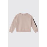 Erkek Bebek Taş Sweatshirt 4 Yaş (104 cm)