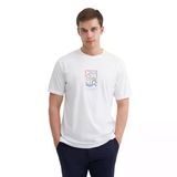 Erkek Bisiklet Yaka Regular Fit Pamuklu Desenli Tişört 4188