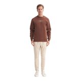 Erkek Bisiklet Yaka Sweatshirt CAZ.53315