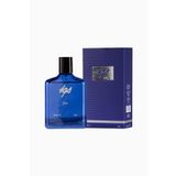 ERKEK BLUE STD PARFÜM
